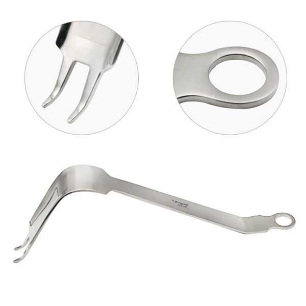 Wide Hohmann Retractor Double Prong